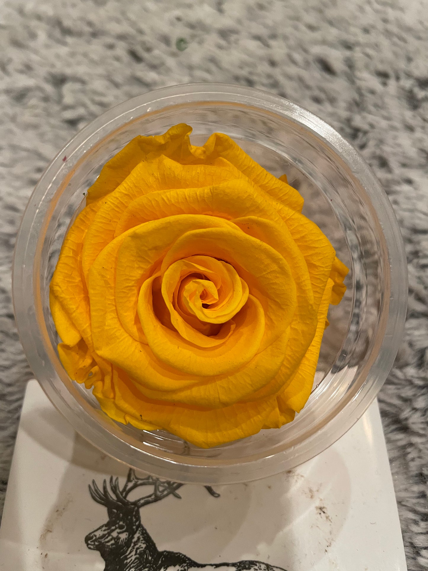 Preserved natural roses box of 6