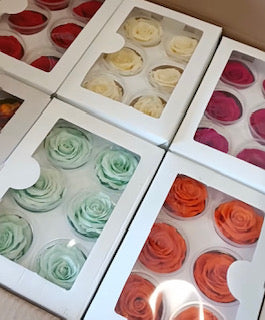 Preserved natural roses box of 6